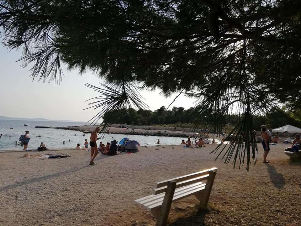 Apartman Zlata Vir Εξωτερικό φωτογραφία