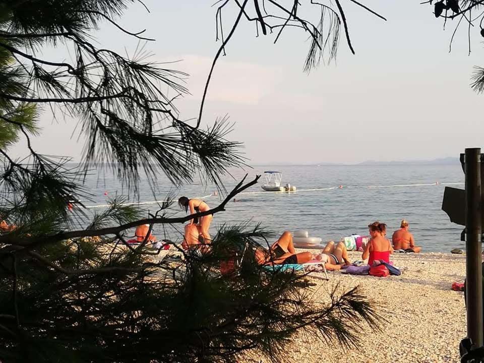 Apartman Zlata Vir Εξωτερικό φωτογραφία